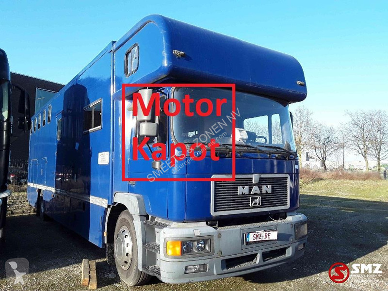 Camion MAN