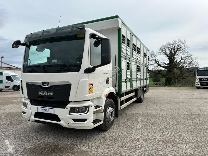 Camion MAN 15.2 TG