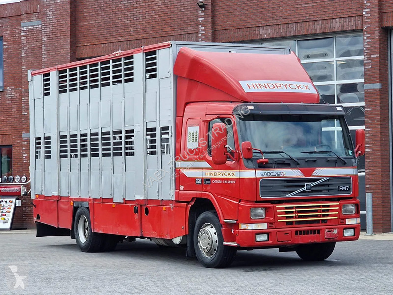 Camión Volvo 250 4x- Livestock 2 deck - Lifting...