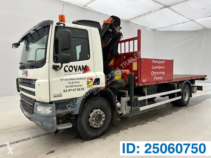 Camion DAF 310