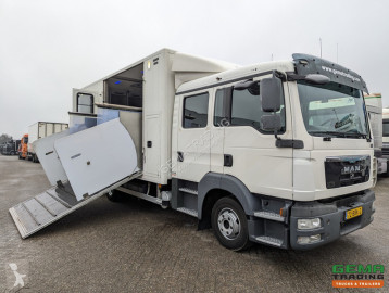 Camion van à chevaux MAN
