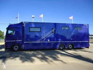 Camion van à chevaux Mercedes