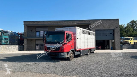 Camion bétaillère MAN