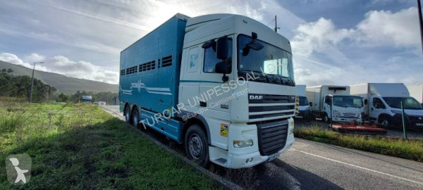 Camión para ganado DAF