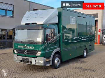 MercedesAtego