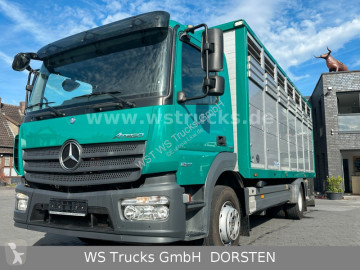 MercedesAtego