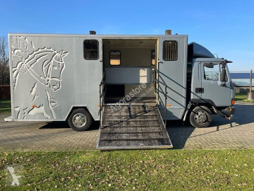DAF