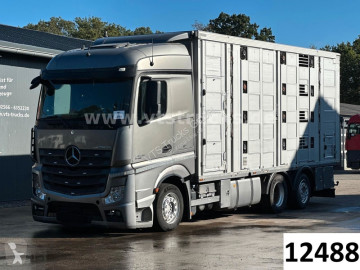 Camion van à chevaux Mercedes