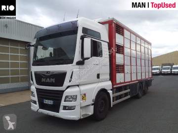 MAN livestock trailer truck