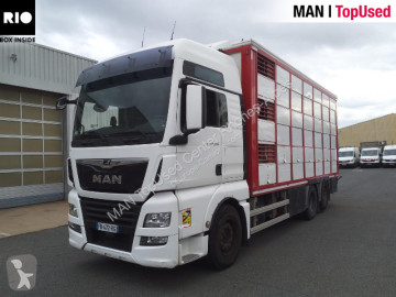 MAN horse trailer truck
