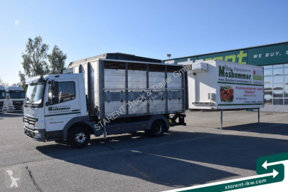 MercedesAtego