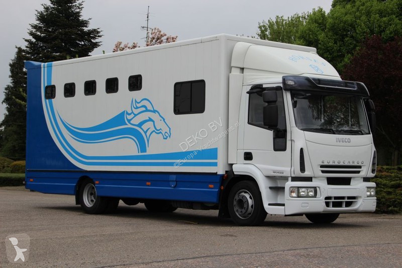 camion pour chevaux occasion
