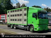 Camion van à chevaux DAF XF 105/460 SC Menke 3 Stock Hubdach