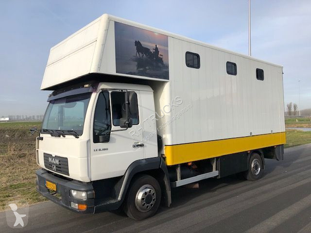 camion chevaux occasion