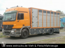 van chevaux mercedes