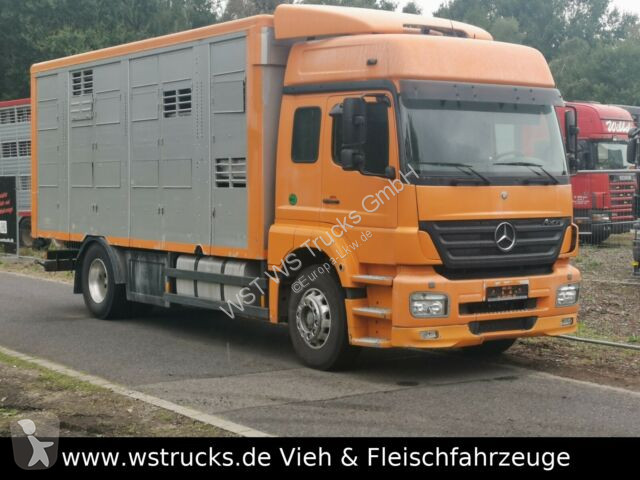 van chevaux mercedes