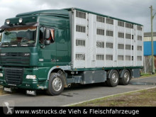 Camion van à chevaux occasion DAF XF105/410 Spacecup Menke 4 Stock