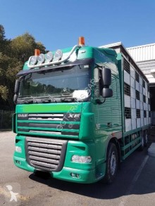 Camion trasporto suini DAF XF105 105.510