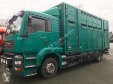 MAN horse truck TG-A 18.XXX FG / LL