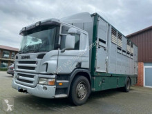 Scania horse truck P 380 mitt Menke Doppelstock