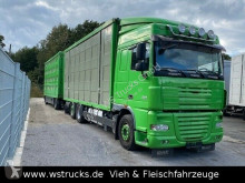 Camião transporte de animais DAF XF105 XF 105/460 SC Menke 3 Stock Hubdach