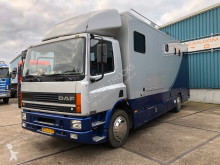 Camion DAF 65-210 HORSETRUCK WITH LIVING (5 HORSES) bétaillère bovins occasion