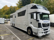 Camion MAN TGS 26.360 van à chevaux accidenté