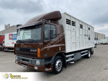 Kamyon sığır taşıyıcı DAF CF65