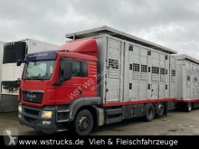 MAN állatszállító pótkocsi teherautó TGX TGX 26.440 LX Menke 3 Stock Hubdach