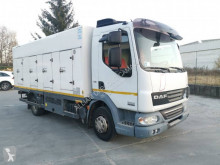 Camion DAF frigo usato