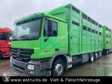Mercedes horse truck Actros 2541 Menke 3 Stock Vollalu