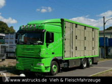 Camion van à chevaux DAF XF 105/460 SC Menke 3 Stock Hubdach
