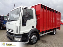 Camion van à chevaux Iveco Eurocargo