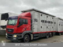 Camion van à chevaux MAN TGX 26.440 LX Menke 3 Stock Hubdach