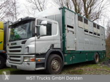 Camión remolque para caballos Scania P 380 mitt Menke Doppelstock