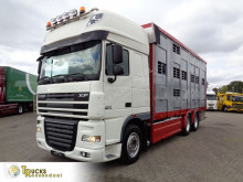 Camion DAF XF105 bétaillère bovins occasion
