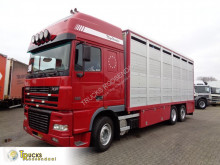 DAF cattle truck XF95