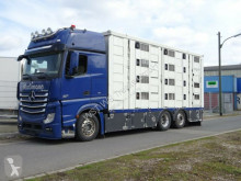 Mercedes livestock trailer truck Actros Actros 2551 Menke 4 Stock Vollalu Hubach