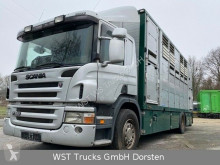 Scania Viehtransporter (Rinder) P P 380 mitt Menke Doppelstock