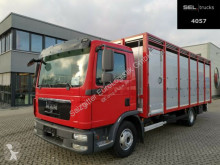 Camión MAN TGL TGL 12.250 4x2 BL / 1 Stock remolque ganadero usado