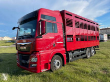 Camion MAN TGX 18.440 XXL trasporto bovini usato