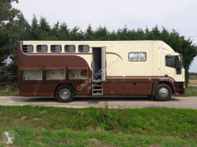 Iveco horse truck