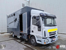 Camion van per trasporto di cavalli Iveco Eurocargo 120 E 22