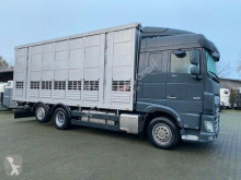 达夫卡车 XF 480 "Neu" Menke 3 Stock Hubdach 马匹运输车 二手