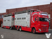 Camión remolque DAF XF 510 para ganado bovino usado