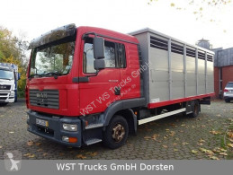 Camión MAN 8.240 Vollalu Einstock remolque ganadero usado