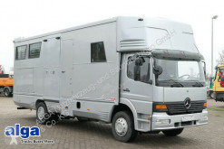 truck horse