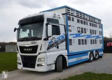 MAN TGX 26.560 truck used livestock trailer
