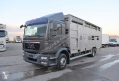Camión MAN TGL remolque ganadero para ganado bovino usado