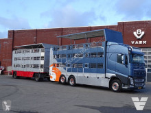Volvo szarvasmarha-szállító nyerges vontató és pótkocsi FH13